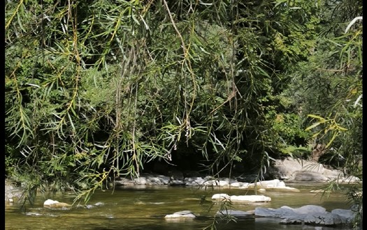 Image de l'événement