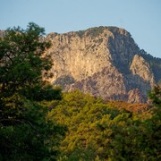 Community-Avatar-Bild
