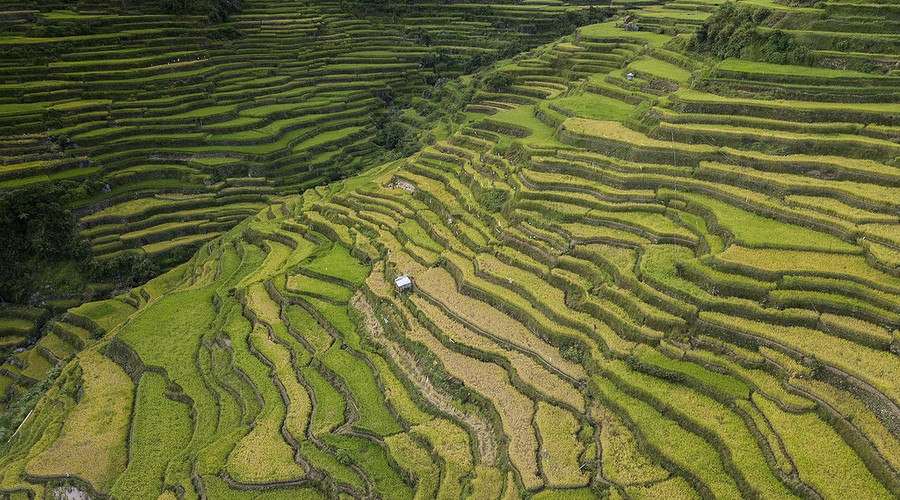 Sagada