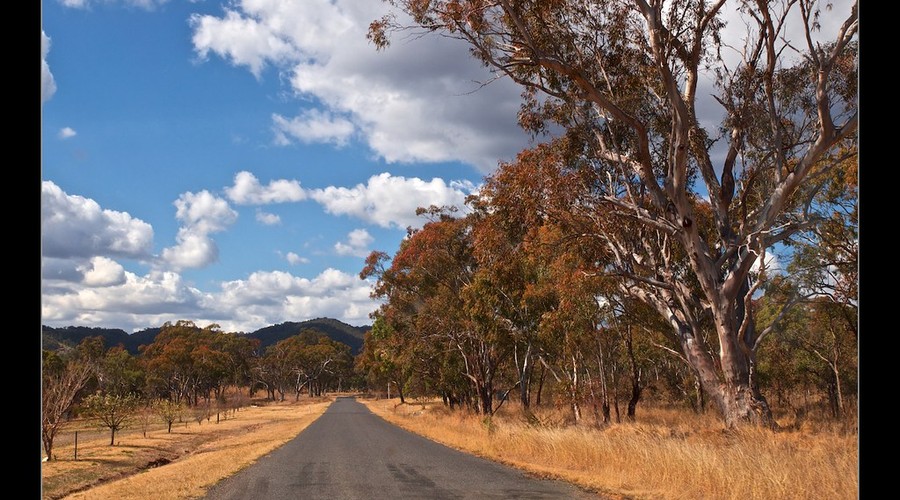 Stanthorpe