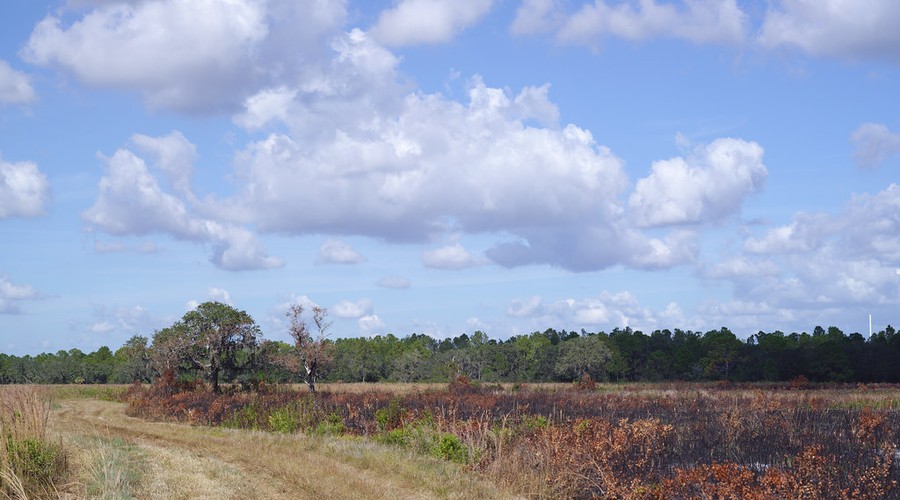 North Port