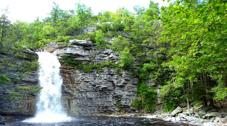 Pine Bush