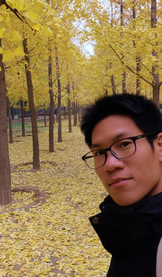 Profile photo