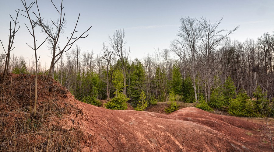 Orangeville