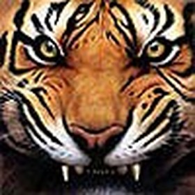 Community Avatar Image