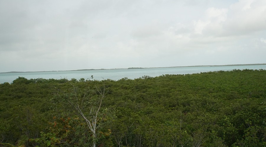 Big Pine Key