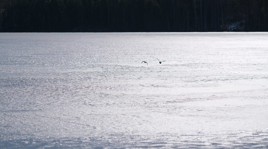 Mikkeli