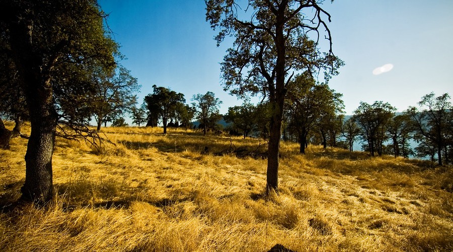 Valley Springs