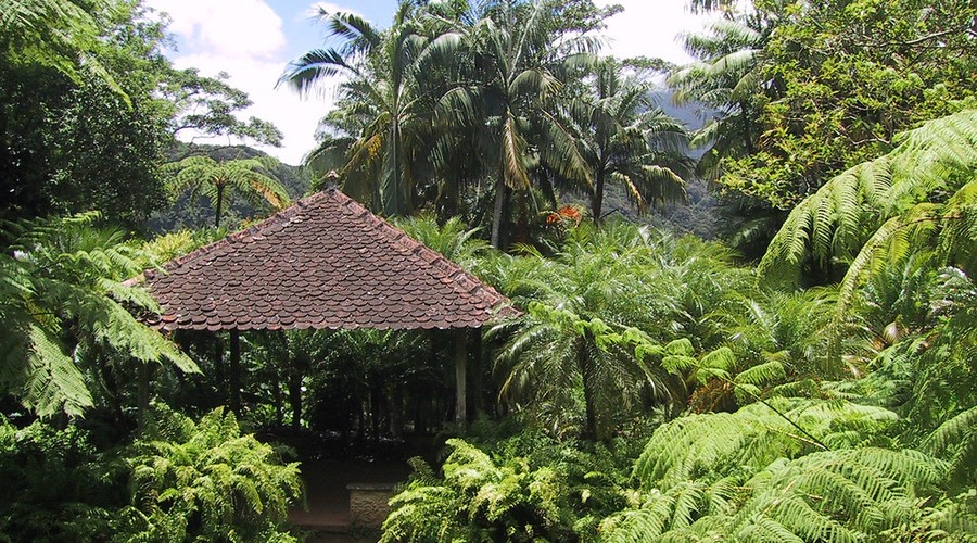 Martinique