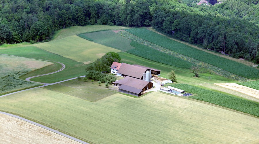 Gottmadingen