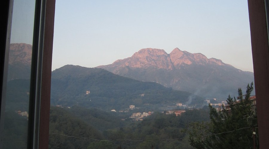 Avellino