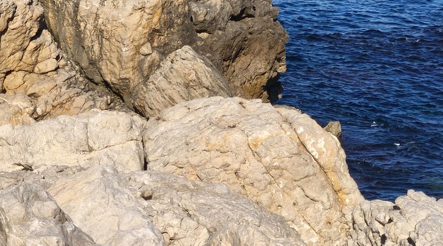 Palamós